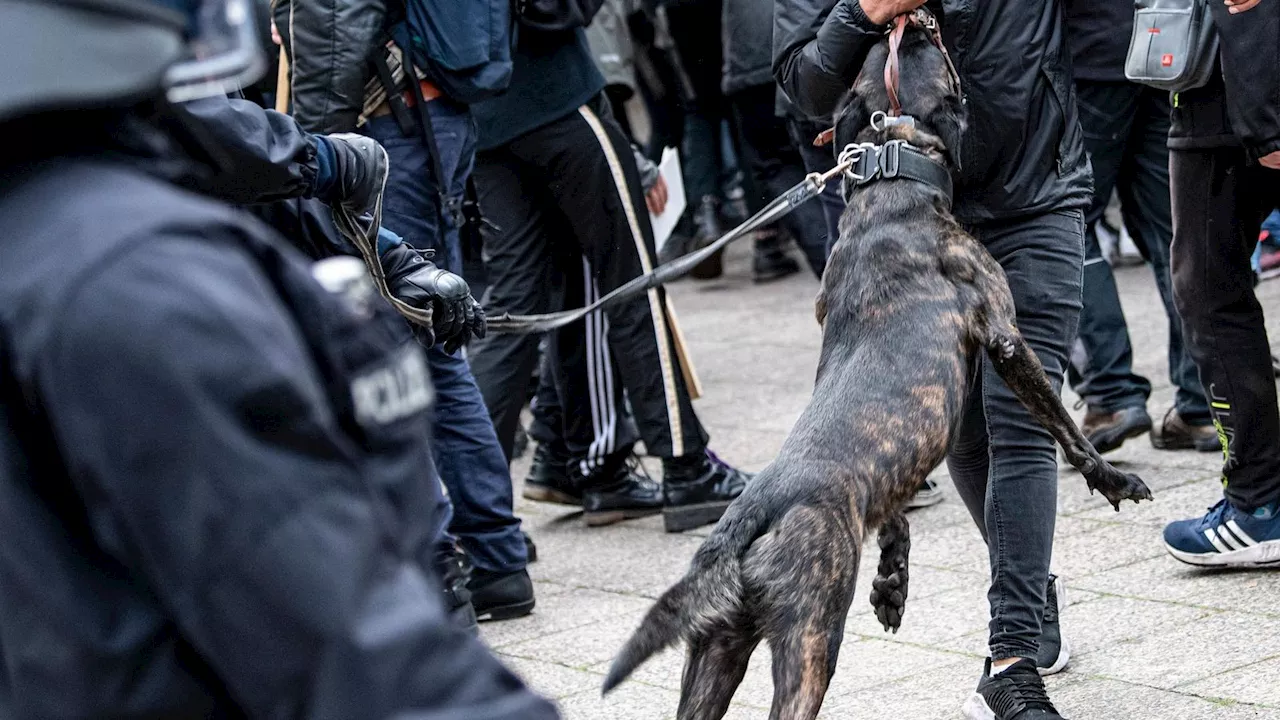 Einsatz von Polizeihund bei AfD-Protest sorgt für Empörung