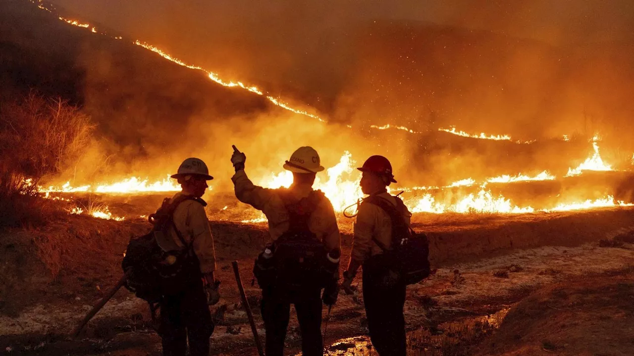 Waldbrände in Los Angeles: Zahl der Toten steigt auf 16