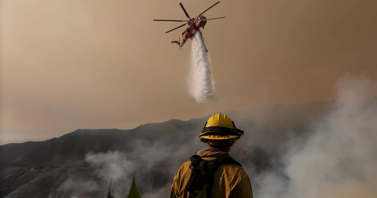 Wildfires Rage in Los Angeles, Trump Criticizes Response