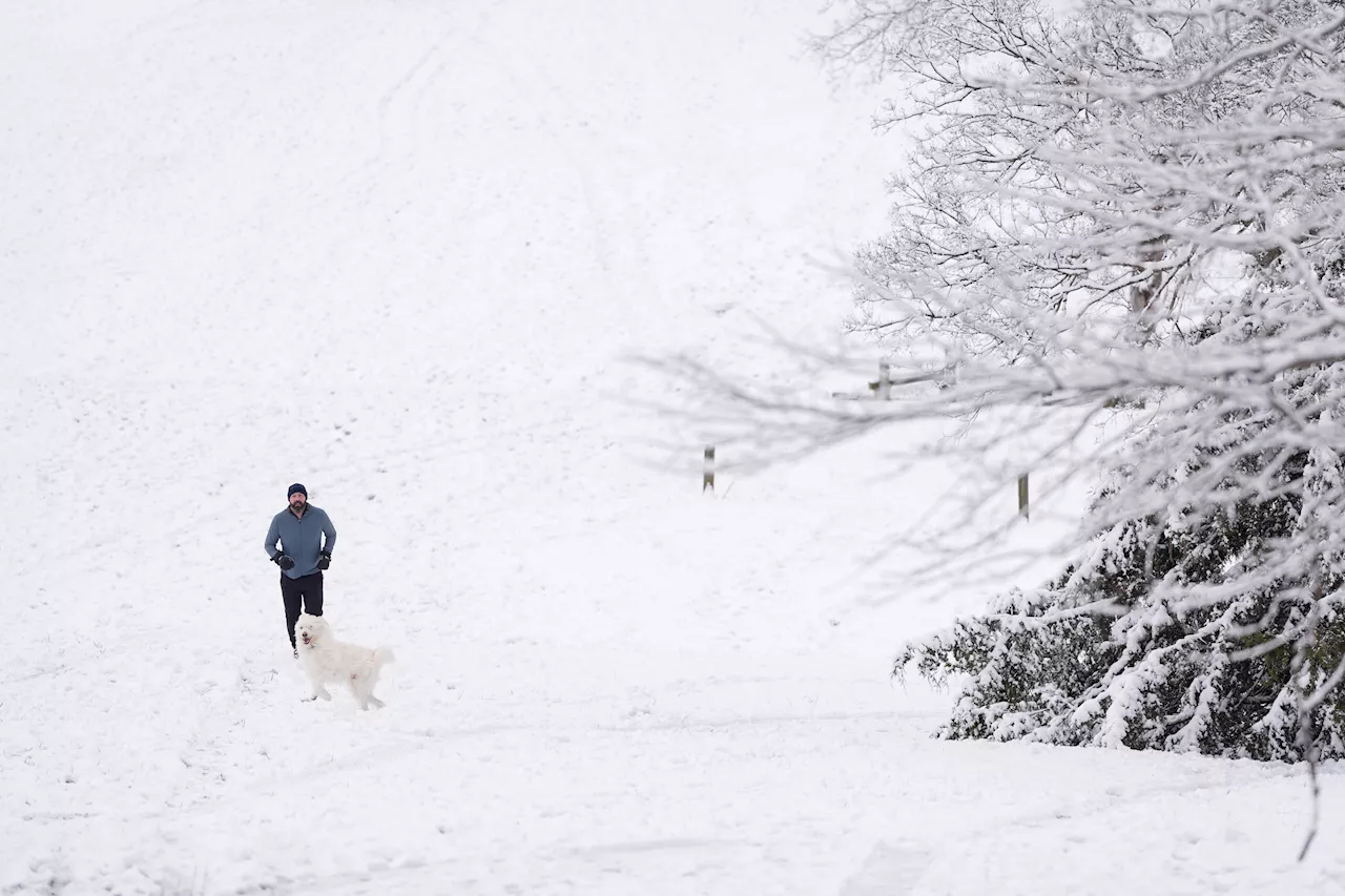 Winter Storm Disrupts Travel, Schools Across US South