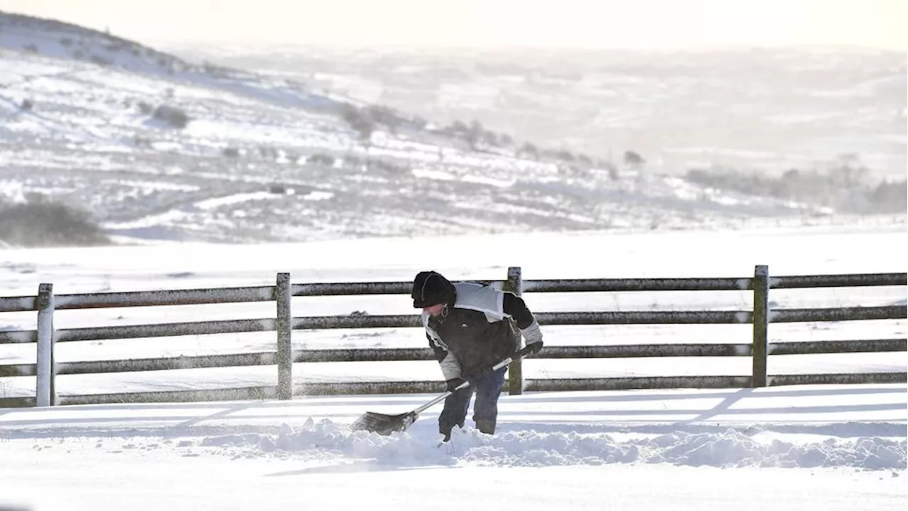 Woman Arrested After Allegedly Paying Children to Shovel Driveway, Then Assaulting Them