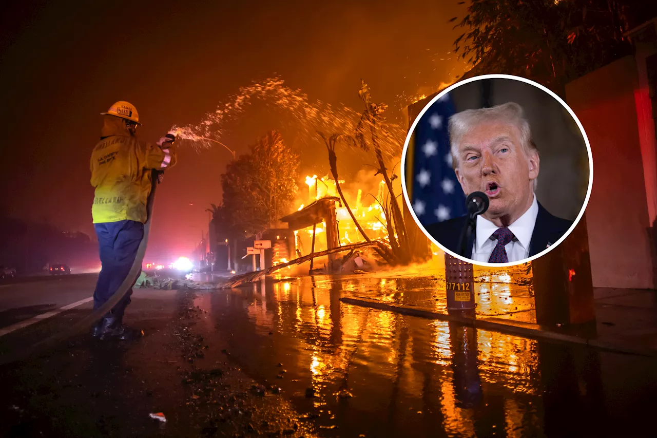 Donald Trump's Policies Could Exacerbate Future Wildfires, Professors Warn