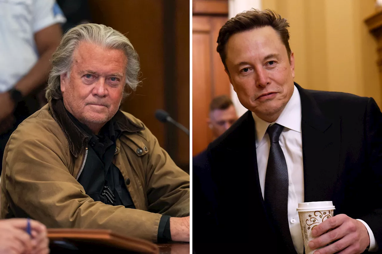 Steve Bannon Vows to Take Down Donald Trump Ally Elon Musk