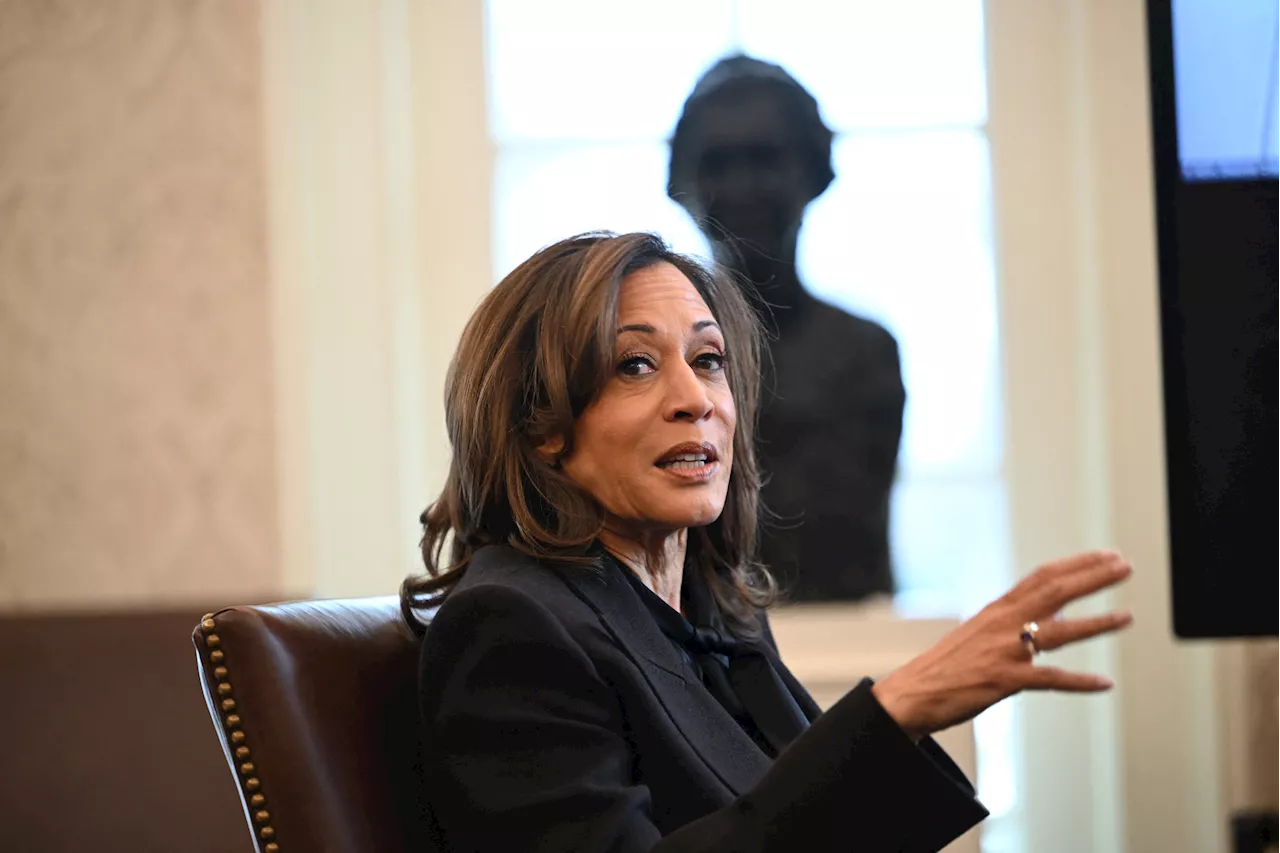 Two Individuals Detained Near Kamala Harris' Home Amid California Wildfires