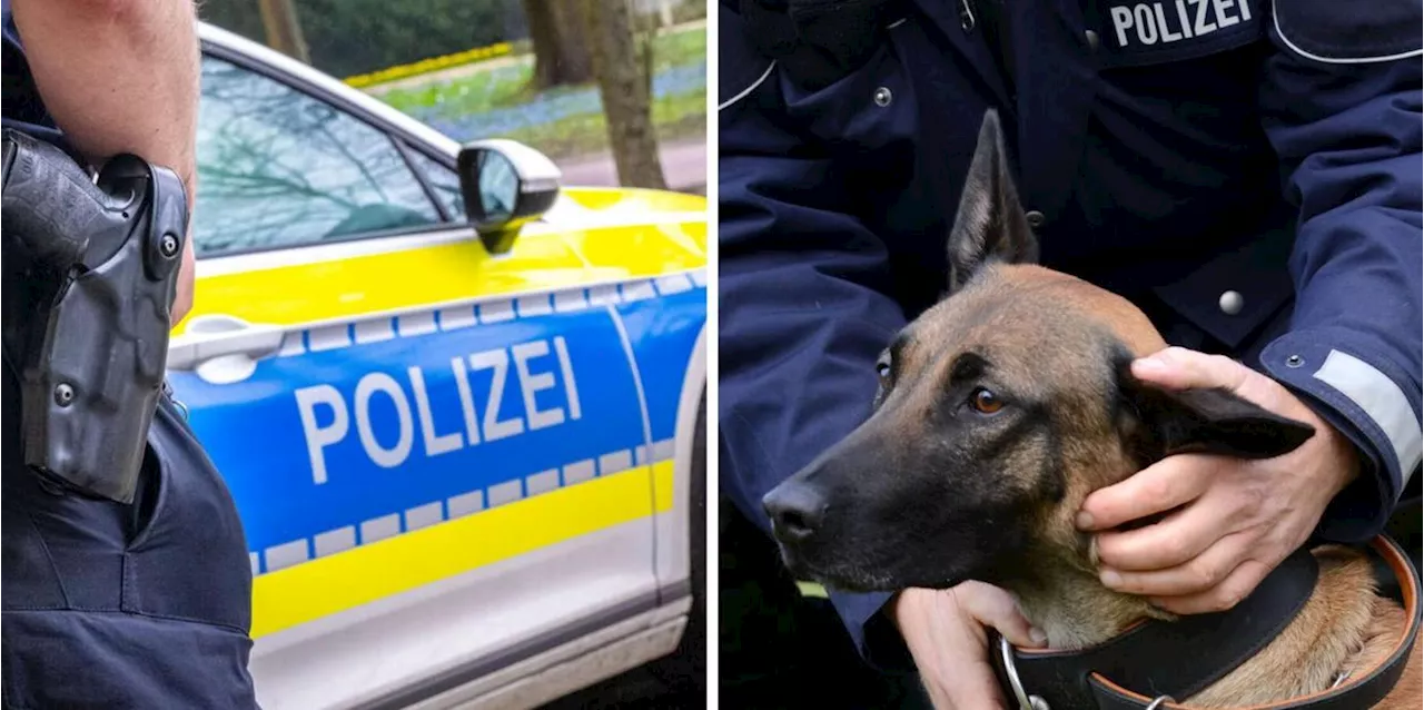 Polizist lässt Hund auf Demonstranten los - Video sorgt für Schüttel