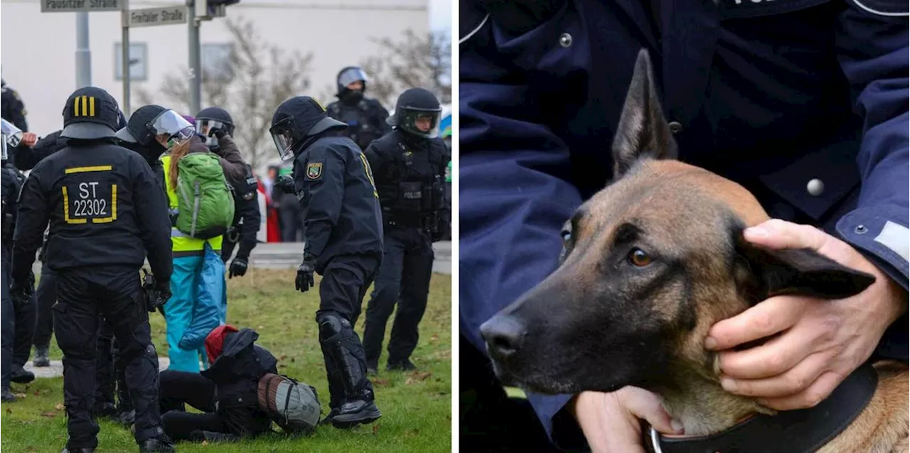 Polizist löst mit Hund Eskalation aus – Linke-Politiker bewusstlos geschlagen