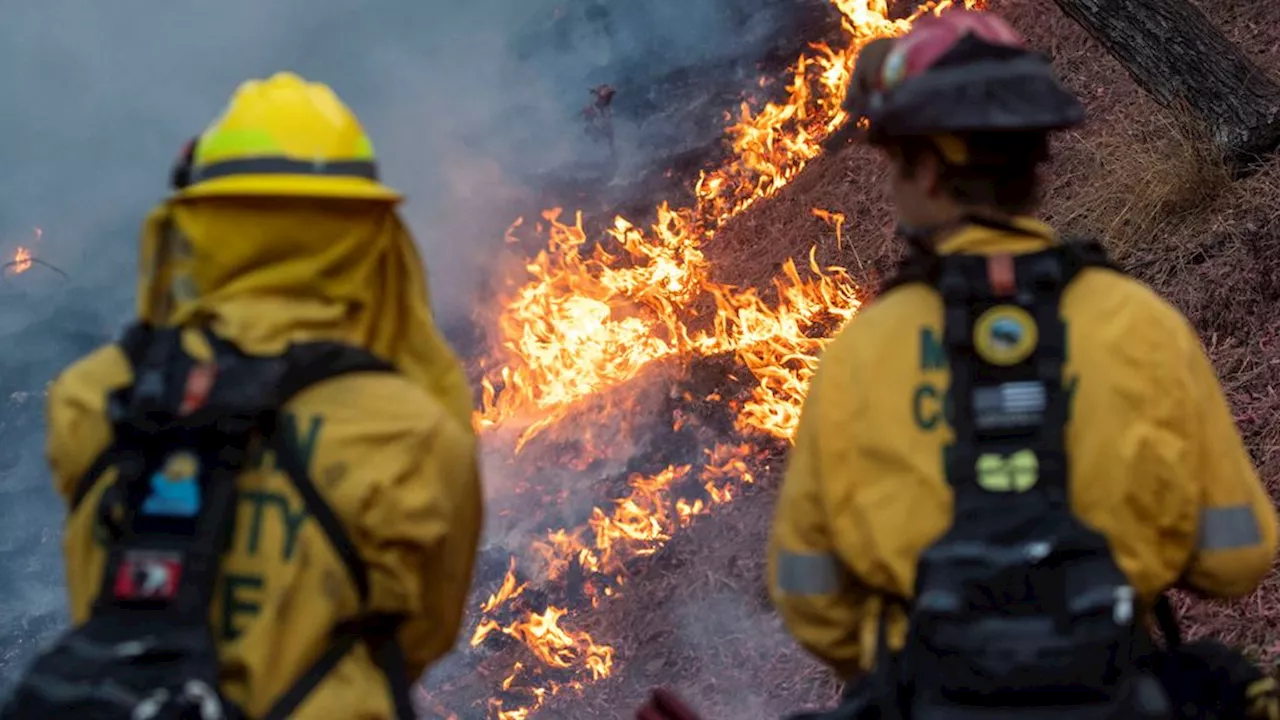 Meer dan 14.000 hulpverleners bij brand LA, hulp uit Mexico en Canada