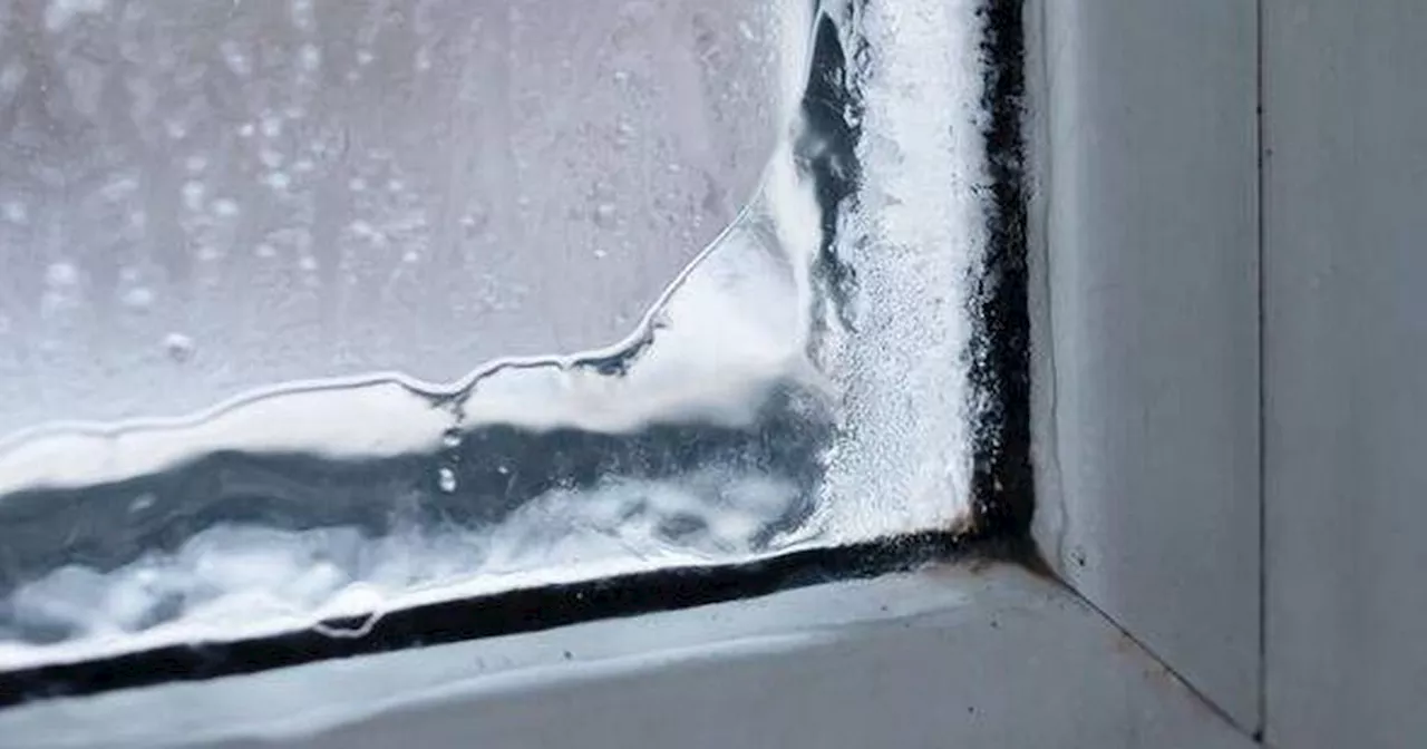 Easy £2 hack to stop condensation on windows - you probably have it at home