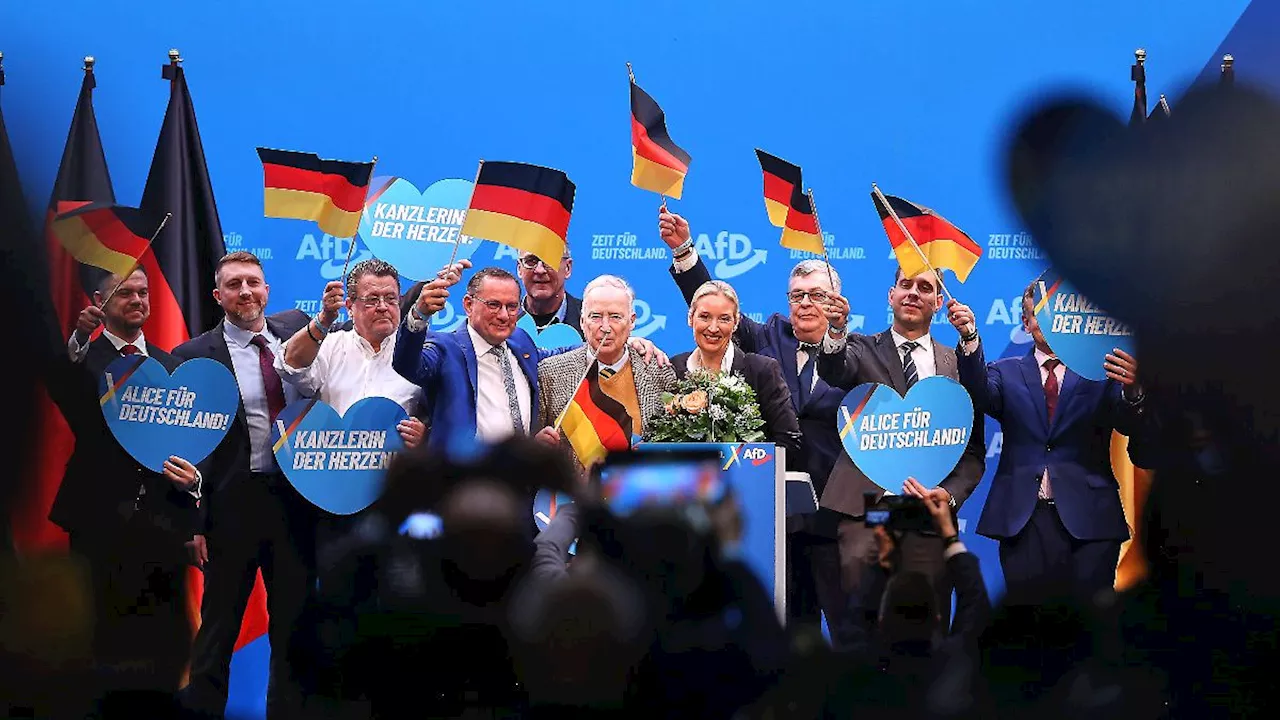 AfD setzt auf 'Remigration' und striktere Migrationspolitik im Wahlprogramm