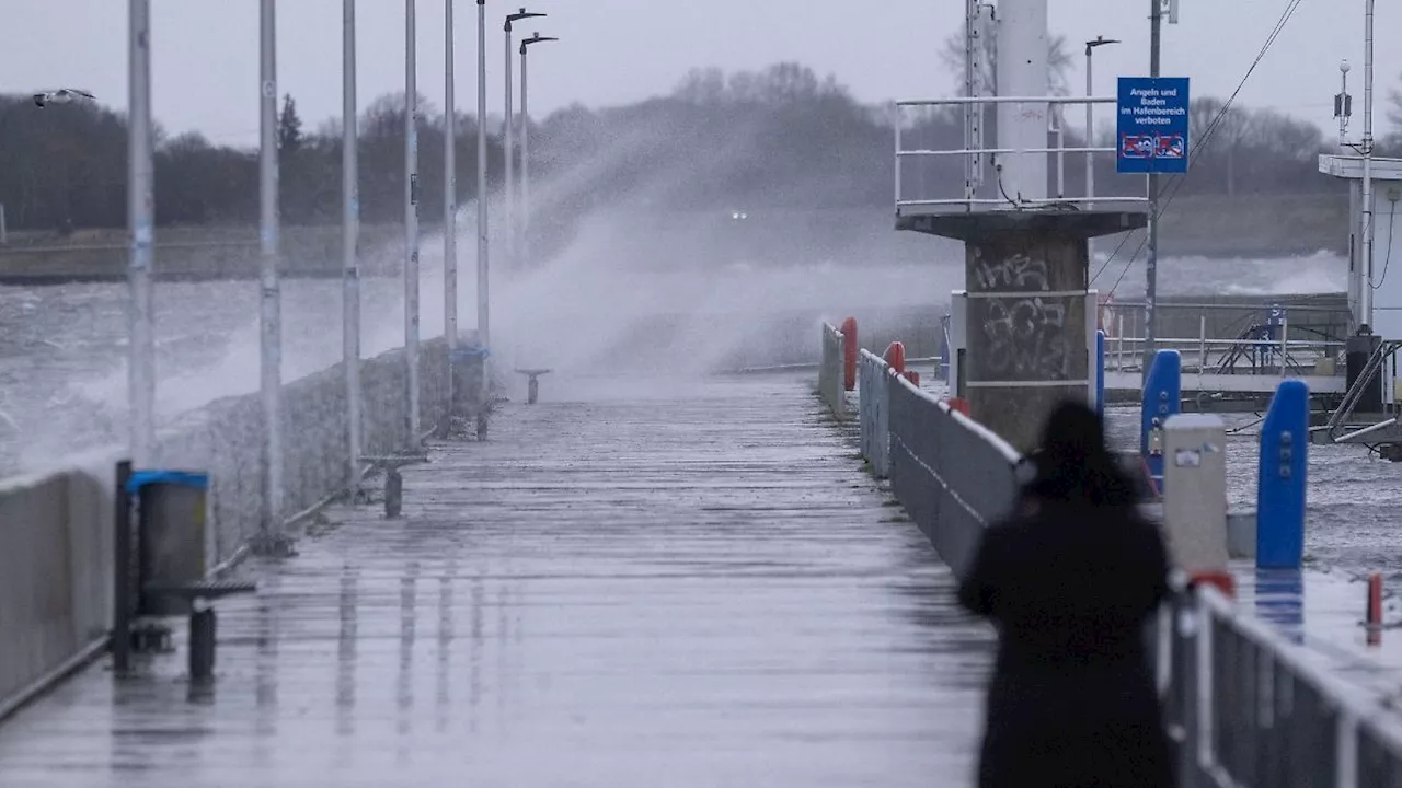 Hochwasser-Alarmstufe 1 an der Oder