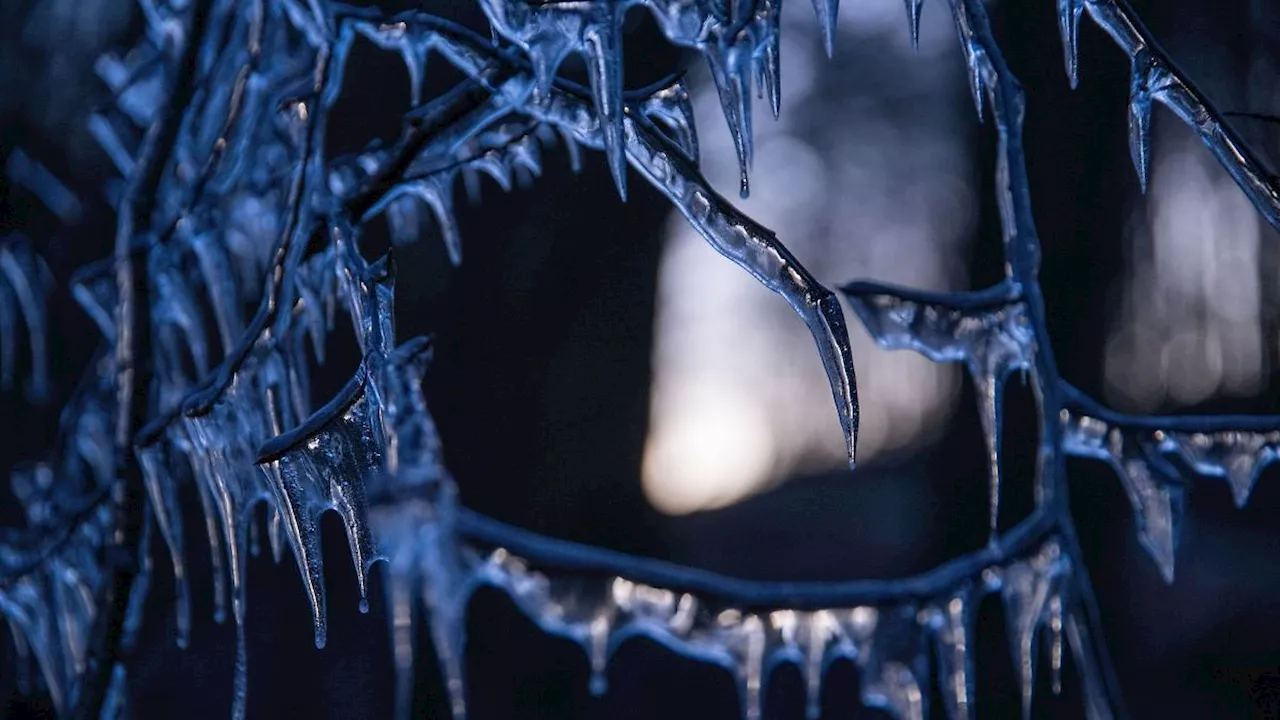 Kaltfront bringt frostige Nacht - Hoch 'Beate' bringt Sonne zurück