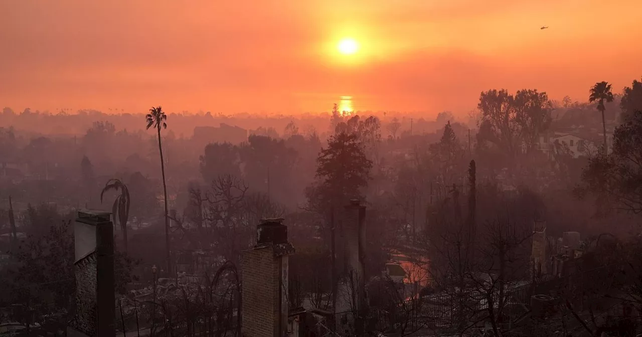 Stadt der Engel, Stadt der Gegensätze: Los Angeles in Flammen