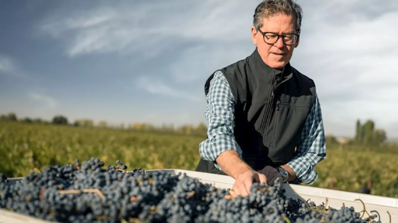 These Winemakers Are Reviving Malbec in France