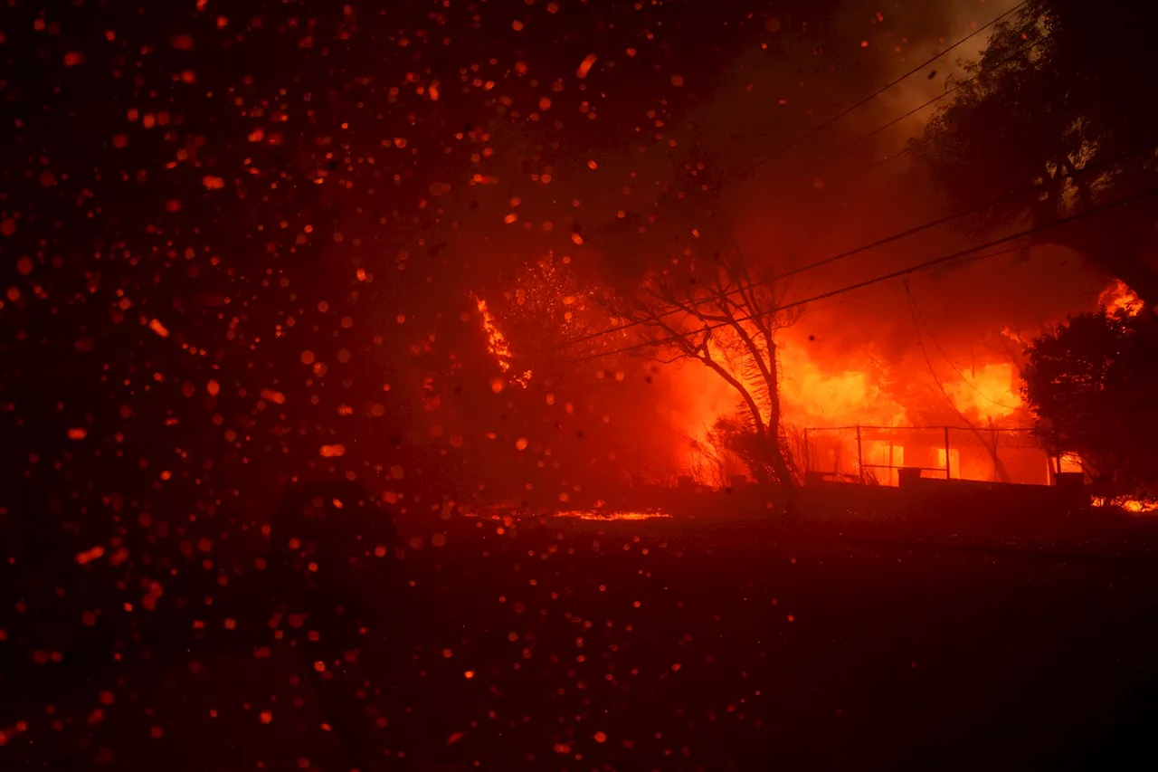 Incendies à Los Angeles : malgré l'accalmie, les feux s'intensifient avec le retour des vents violents