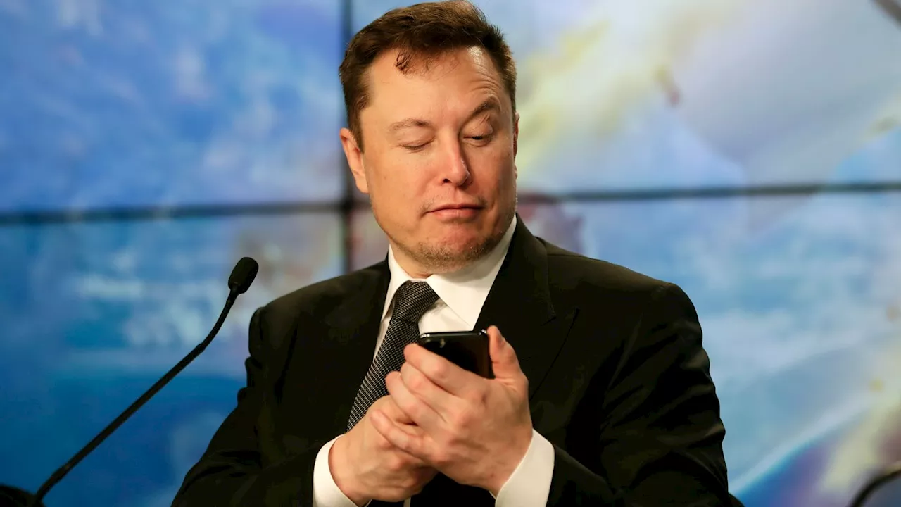 Majority of public says Elon Musk having a negative impact on British politics, poll finds