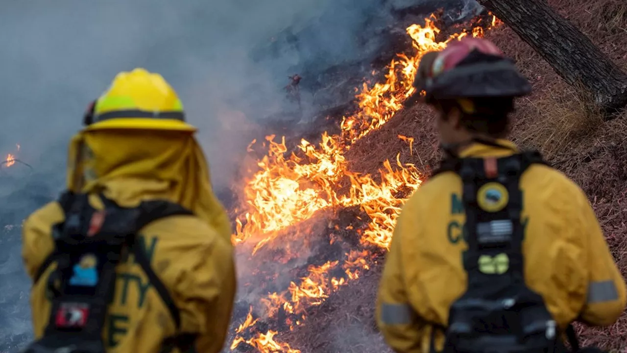 Red Flag Warning Issued for Parts of Southern California