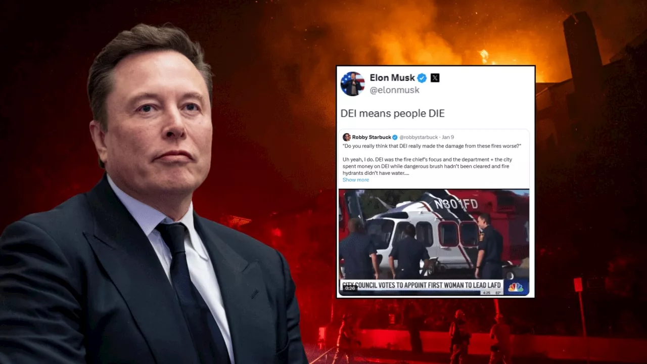 Elon Musk Blames California's Wildfires on DEI Policies and 'Bad Governance'