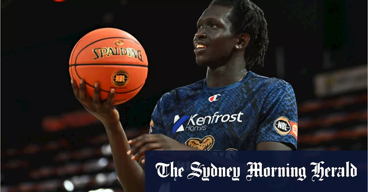 Basketball player arrested in Sydney over alleged domestic violence incident