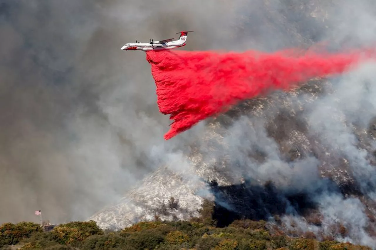 San Fernando Valley under threat as Los Angeles fire rages on