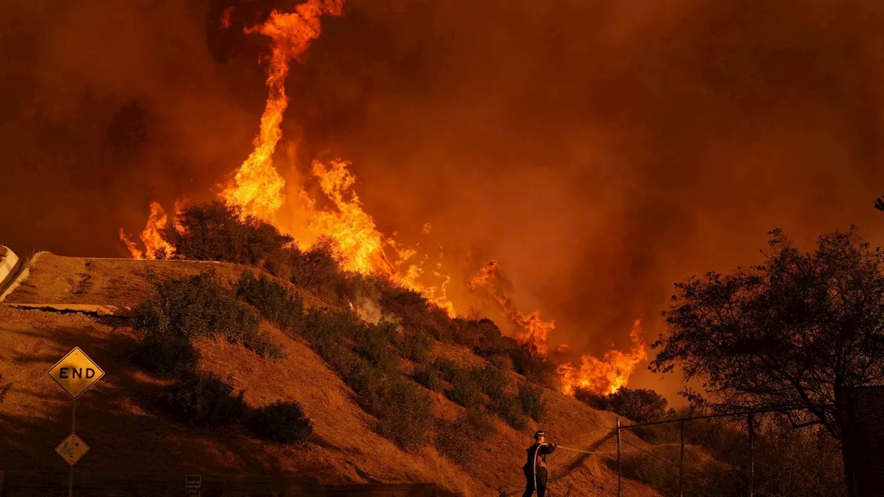 Inferno: 16 Tote bei Bränden in Los Angeles