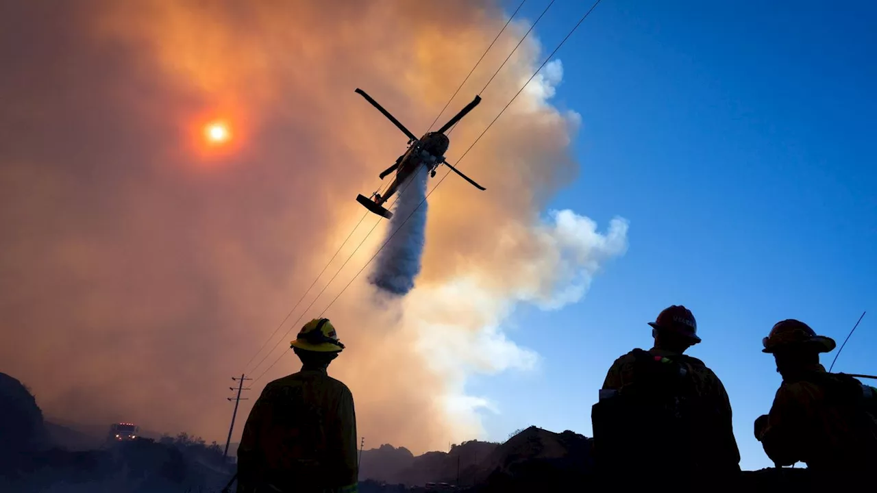 Inferno in Kalifornien: Trump ätzt über Brandbekämpfung - 16 Tote bei Feuern in LA