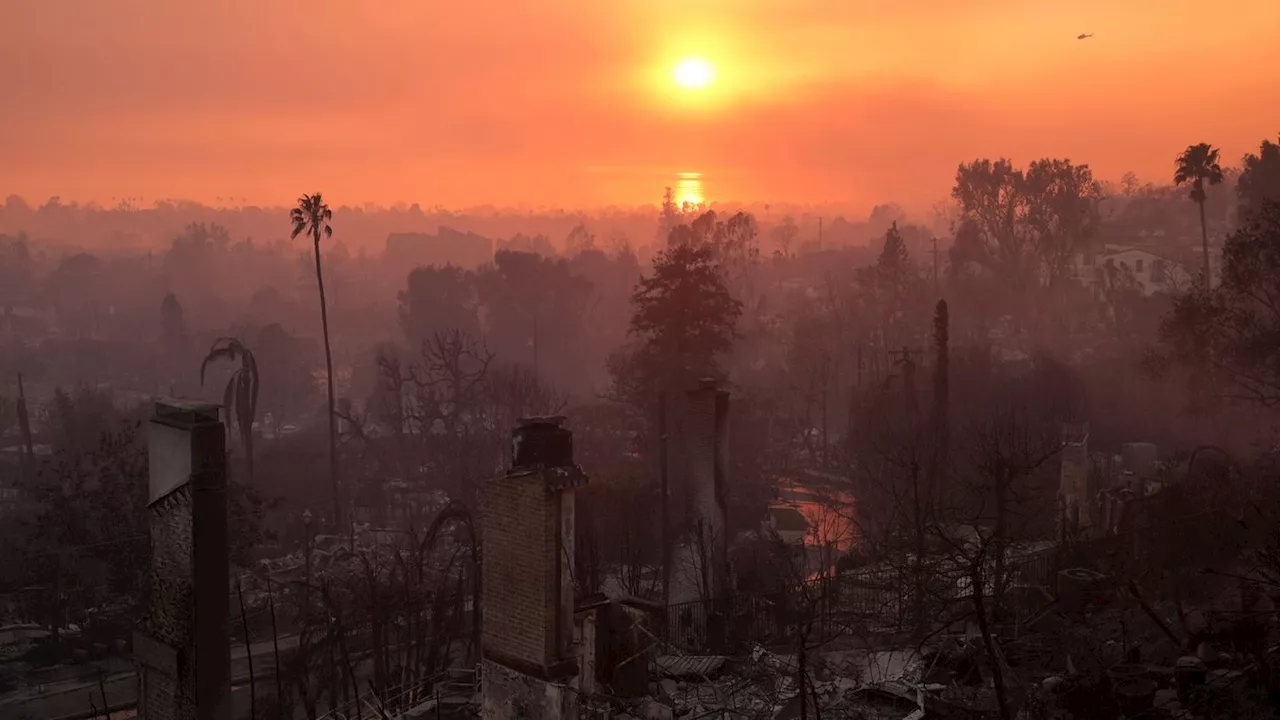 Luxus und Elend im Angesicht der Feuerkatastrophe in Los Angeles