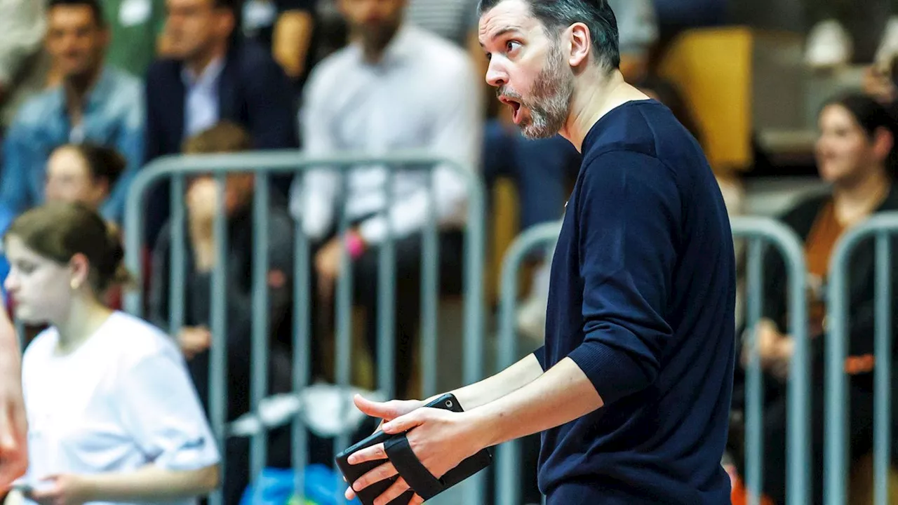 Volleyball-Bundesliga: Netzhoppers verlieren in Lüneburg