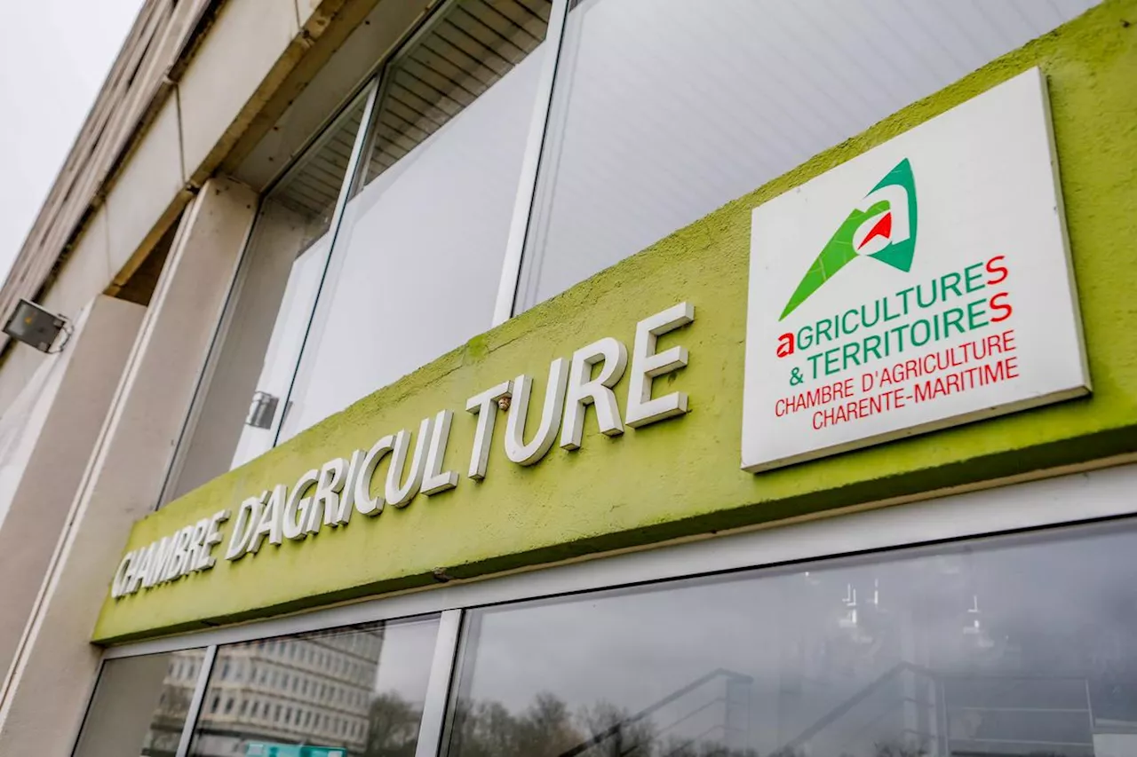 Charente-Maritime/Deux-Sèvres : les clés pour comprendre les élections à la Chambre d’agriculture