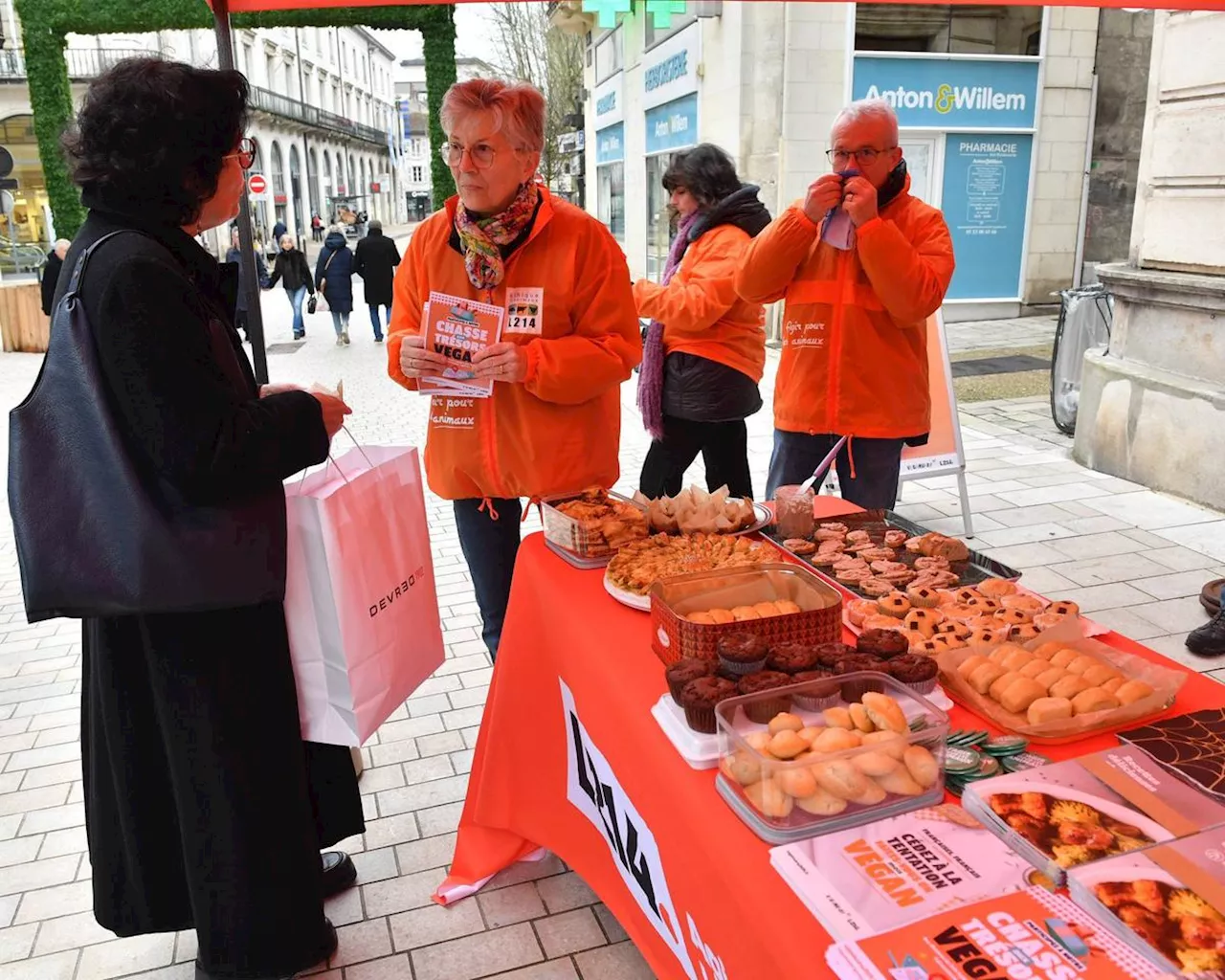 Chasse aux Trésors Vegan à Périgueux