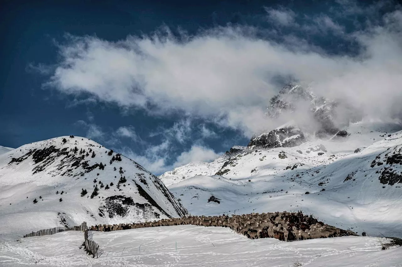 Deux skieurs estoniens tués dans une avalanche à Val-d’Isère