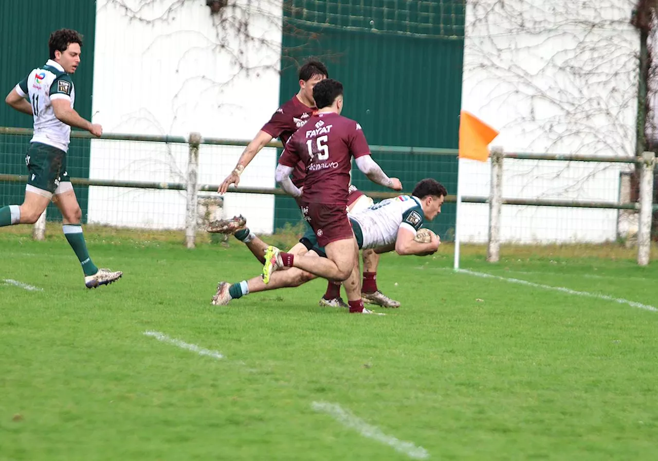 La Section Pau terrasse l'UBB avec du collectif et de l'engagement