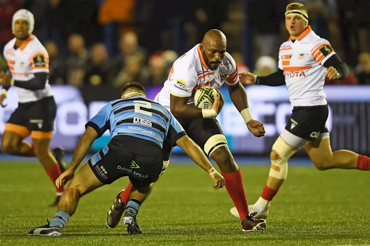 Cheetahs Face Must-Win Challenge Cup Clash Against Zebre