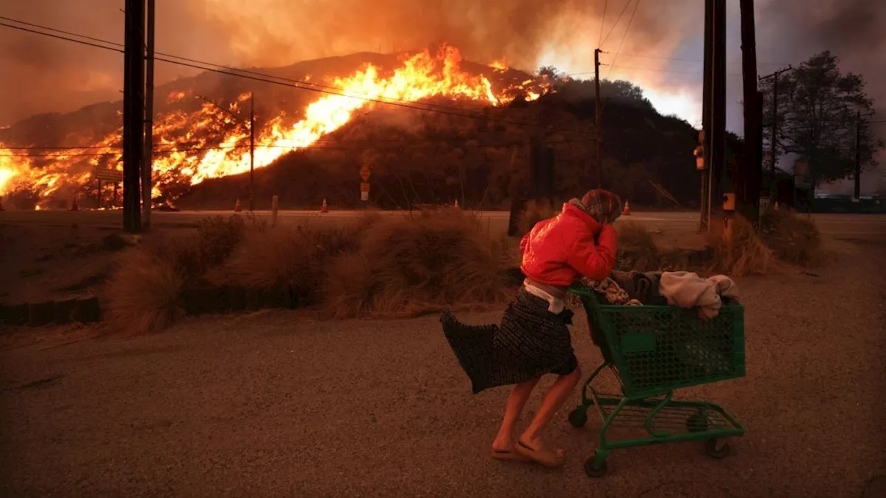 Rebuilding After Disaster: Shared Struggles in San Donato and Los Angeles