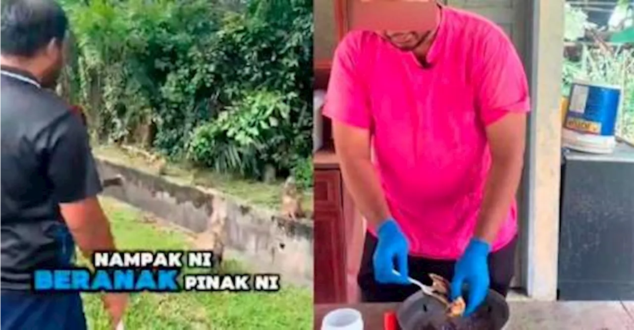 Man feeds macaques poisoned food: Perhilitan to probe video