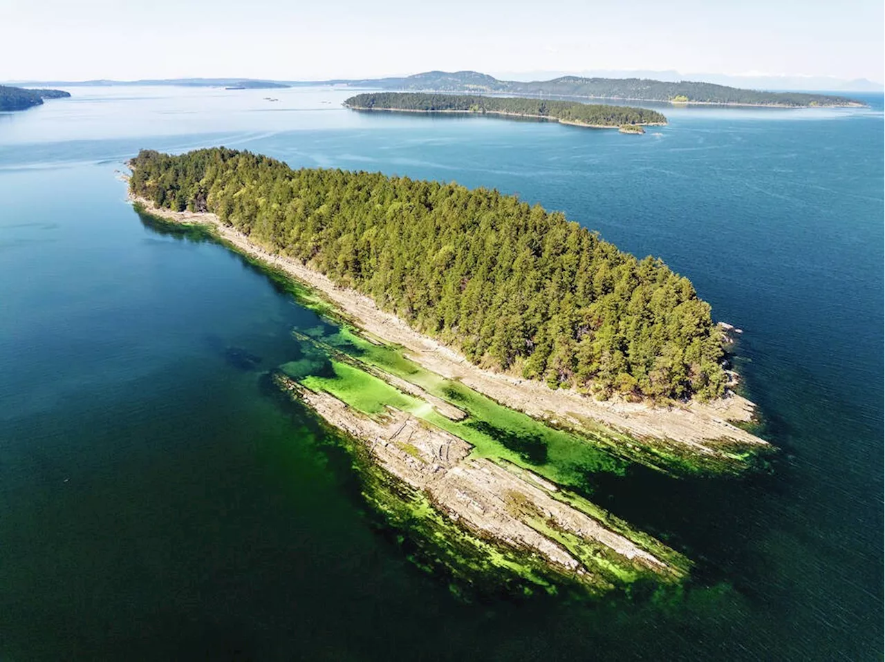 Is a Dropping Value a Good Time to Buy a Private Island?