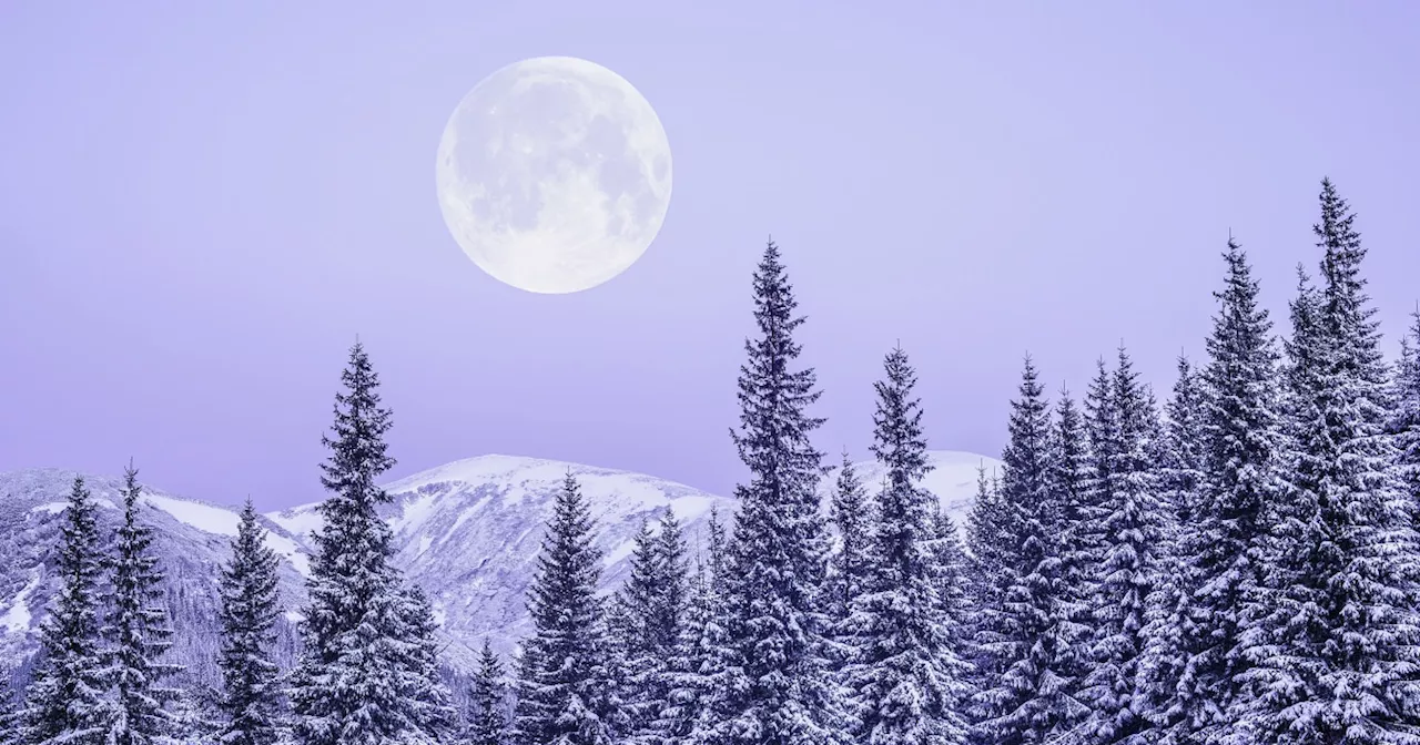 January's Full Moon: The Wolf Moon