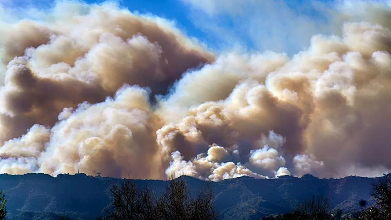 Toxic Wildfire Smoke Blankets Los Angeles, Public Health Emergency Declared