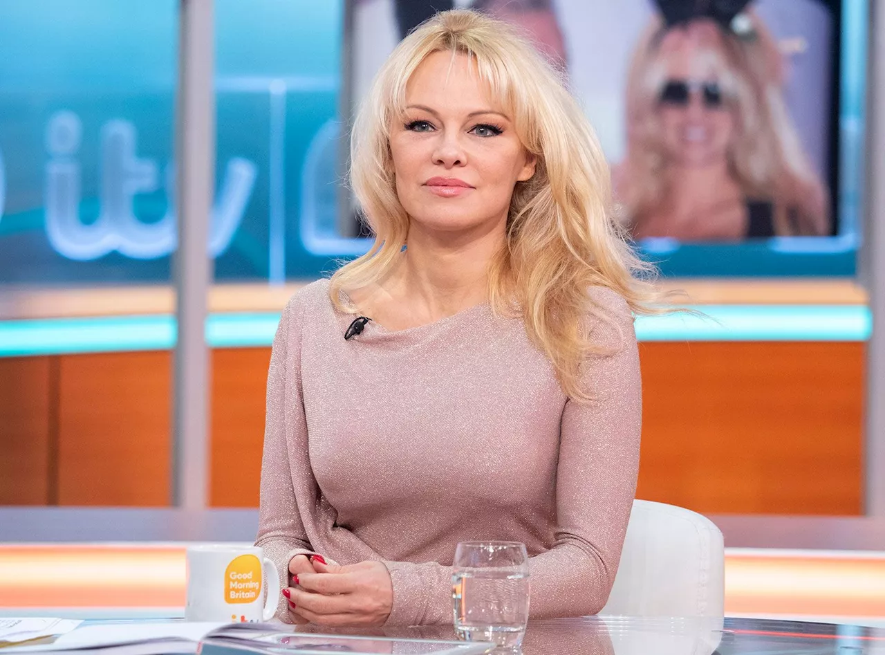 Disangka anggota kumpulan Dixie Chicks, Pamela Anderson nyaris dikasari lelaki tidak dikenali