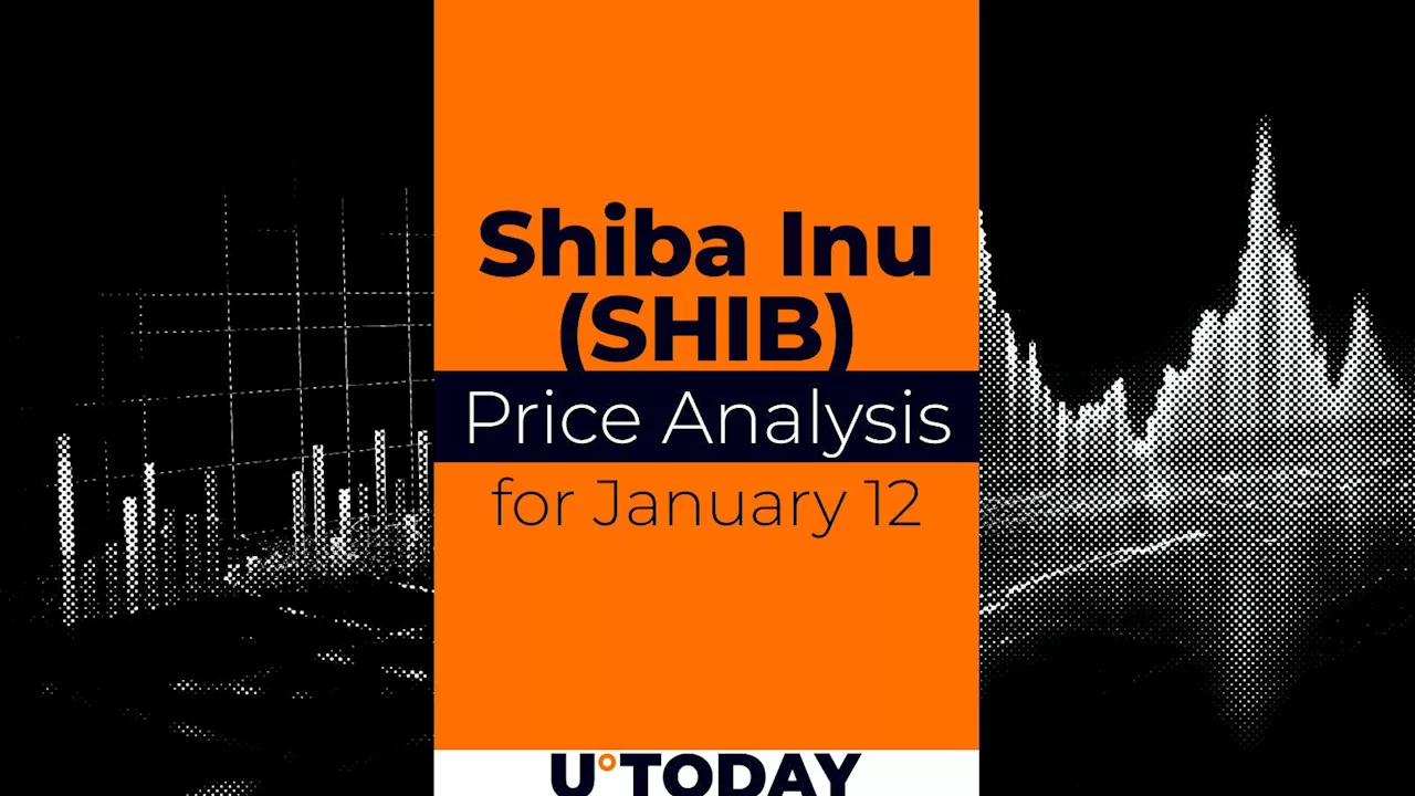 SHIB Price Prediction for January 12