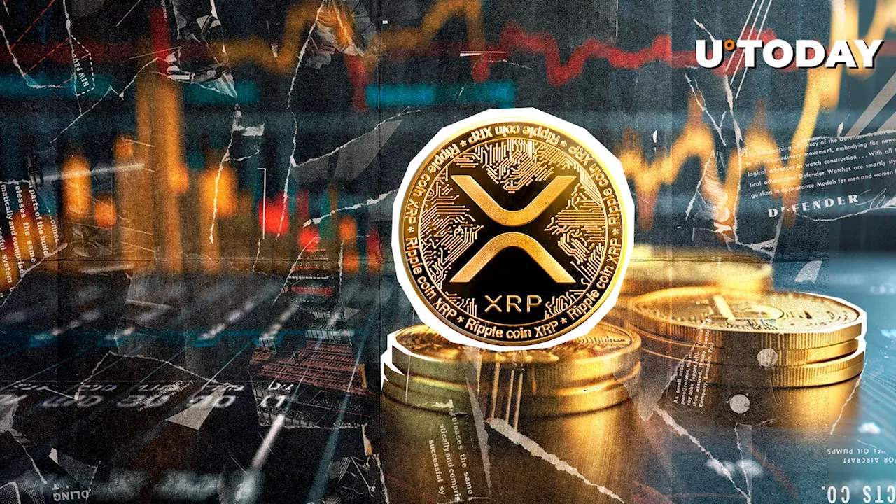 XRP Price Surges Over 10% in 24 Hours