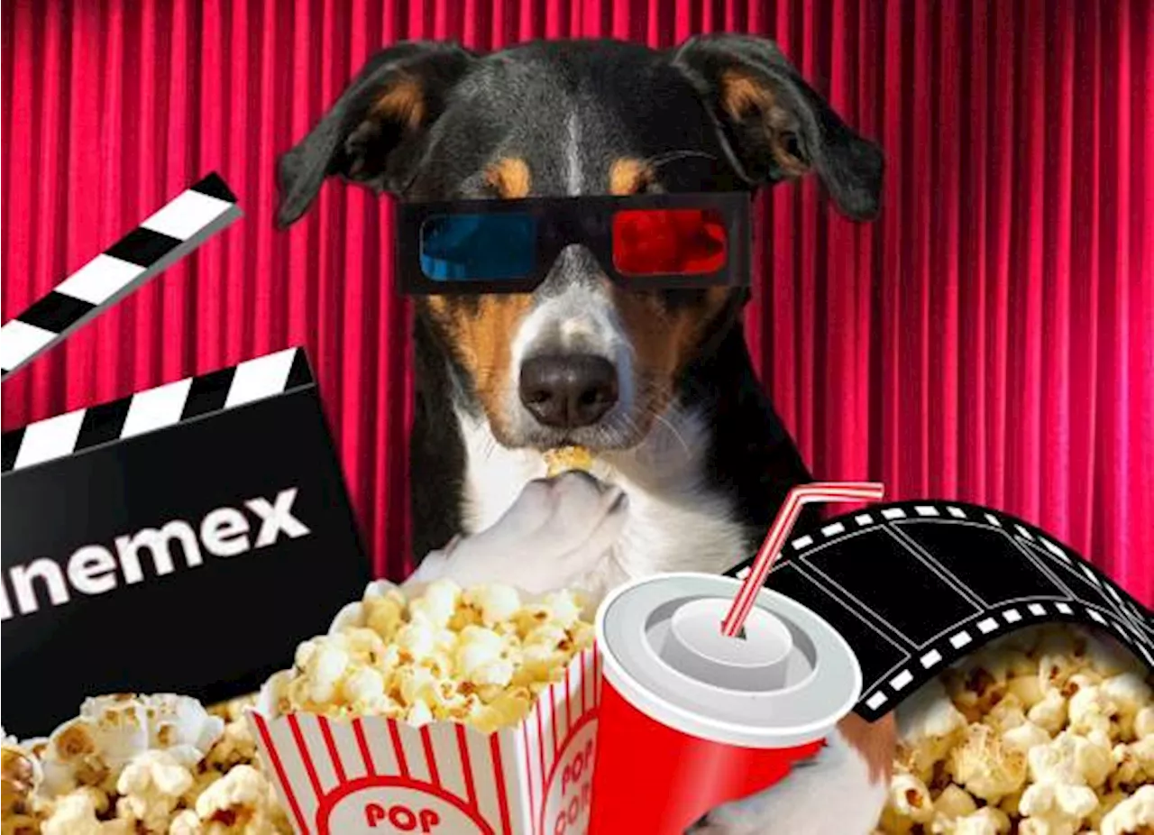 Llega ‘Cinemex Manía’ con promoción especial de boletos a 29 pesos: ¿Cómo aplica y en qué horarios?