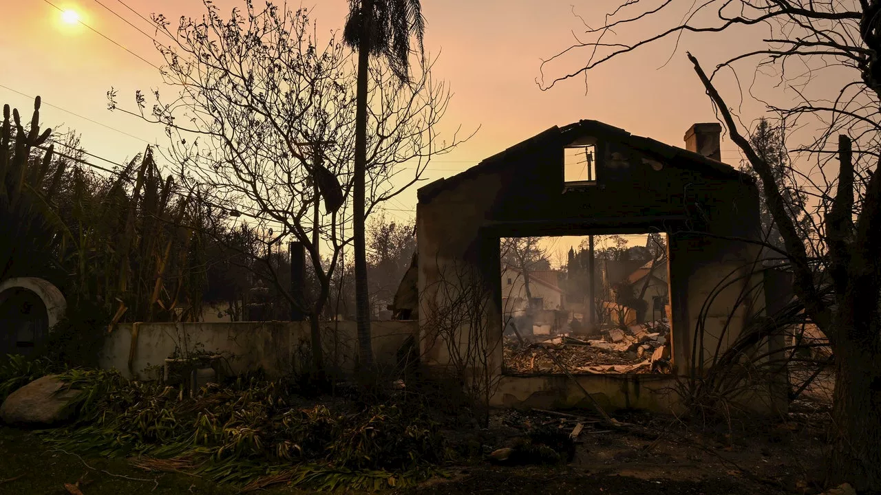 How the Los Angeles Fires Have Affected the Art World