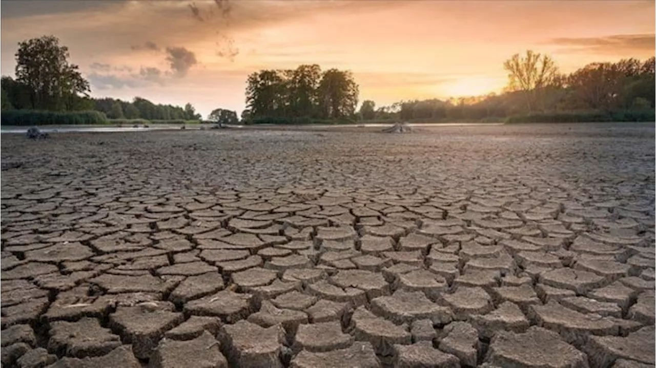 2024 Tahun Terpanas, Menurut Organisasi Meteorologi Dunia