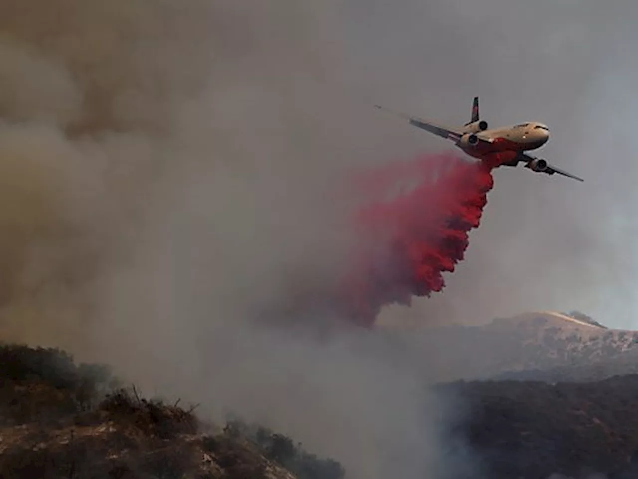 Rufe nach Trump nach Bränden in L.A. mehren sich