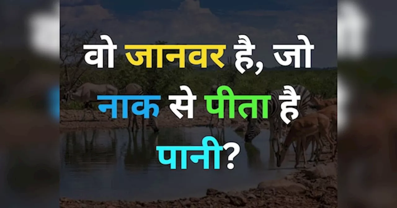 मुंह से नहीं ये जानवर अपनी नाक से पानी पीता है, क्या आप जानते हैं इसका नाम?