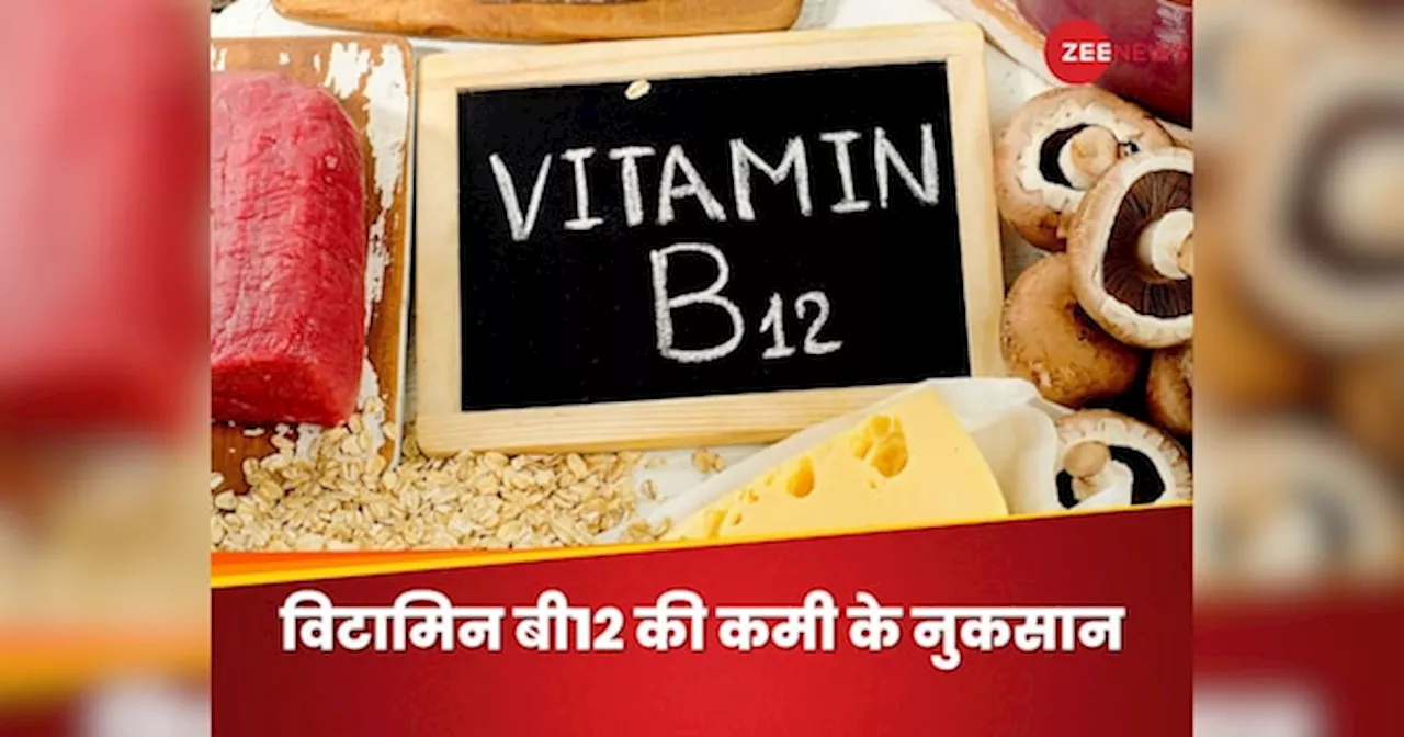 Vitamin B12 की कमी हड्डियों और ब्रेन को कर देगी बेहद कमजोर, बचने के लिए खाएं ऐसी चीजें