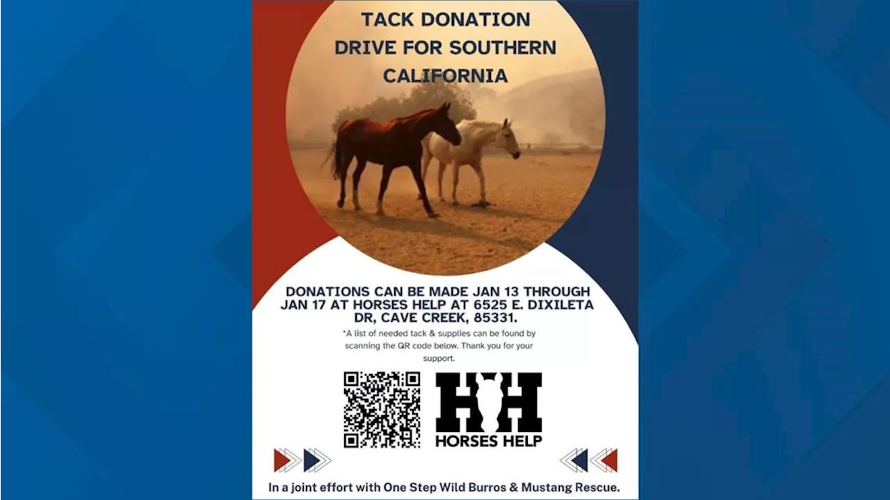 Arizona Horse Rescues Aid Evacuated Animals in Southern California