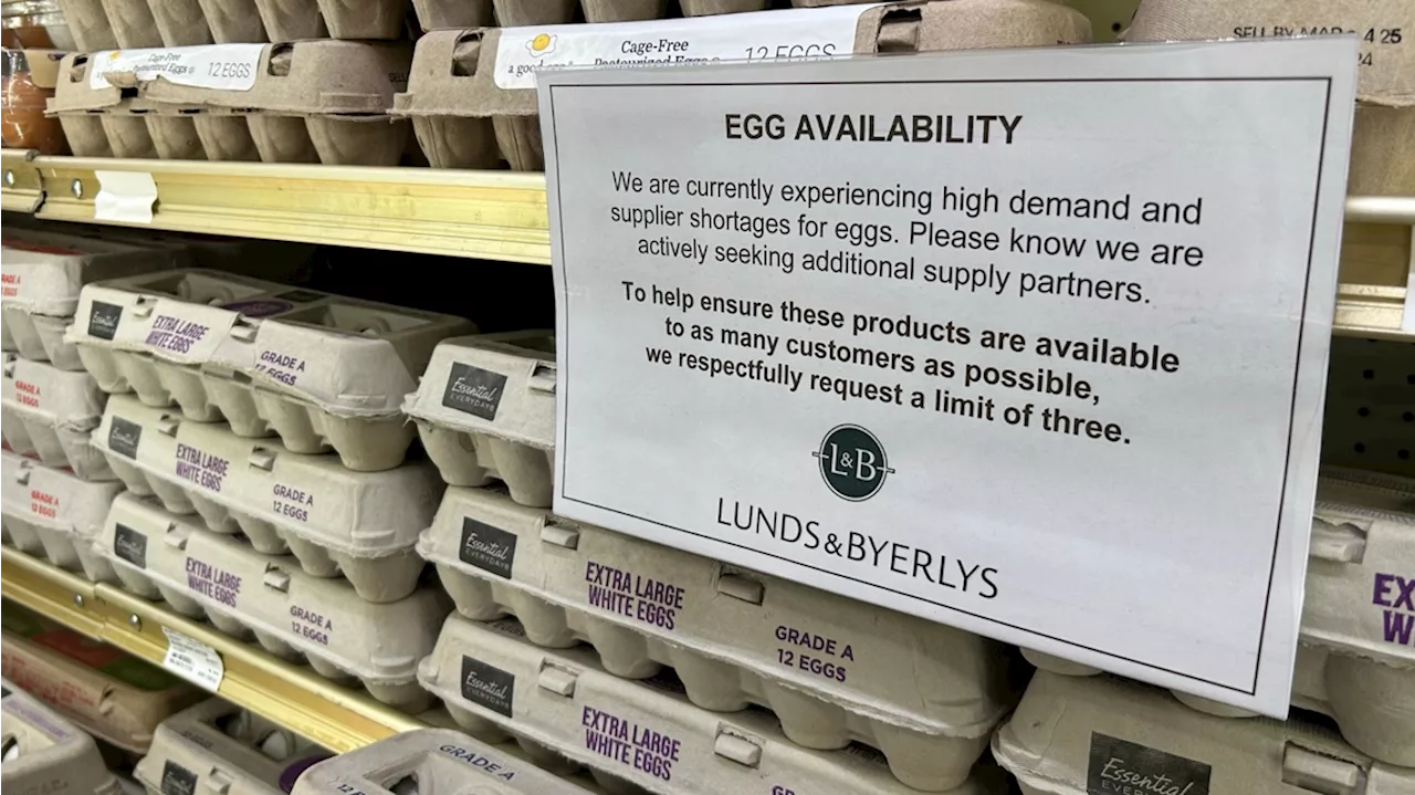 Egg Prices Soar, Hitting Bakeries Hard