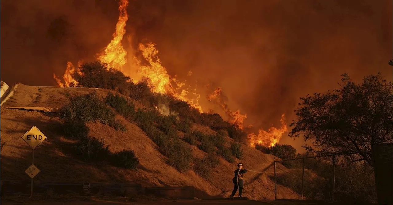 Wildfires Rage in Los Angeles, Claiming 24 Lives and Destroying Thousands of Homes