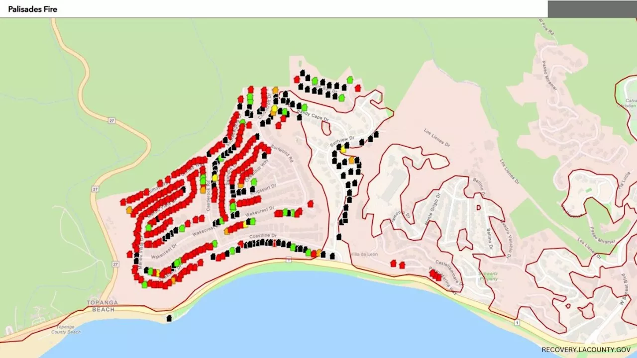 New Maps Show Damage from Palisades and Eaton Fires in California